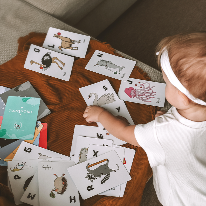 Double Trouble 4-in-1 Speed Memory Learning Cards - Lou Lou James™ 